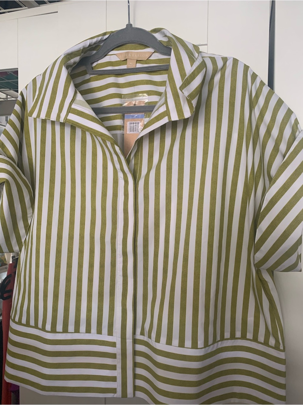 Olive & White Striped Button-Front Shirt